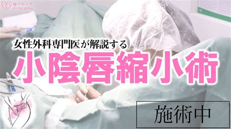 クリトリス包茎 ： 婦人科・女性器：美容外科 高須ク。